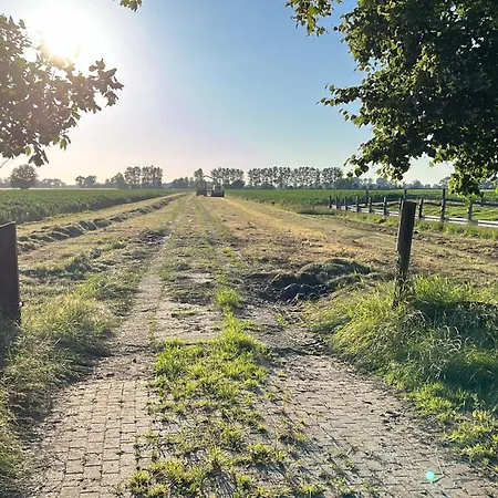 Alter Kaelberstall *